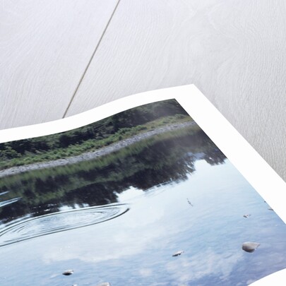 Boy Skipping Rocks by Anonymous
