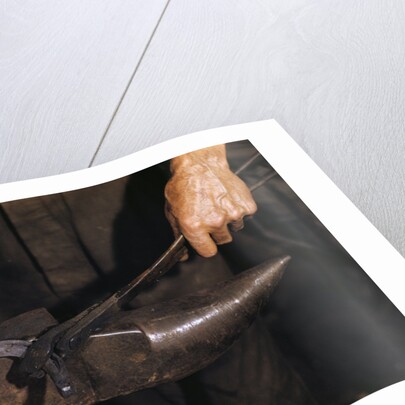 Hammering Horseshoe by Anonymous