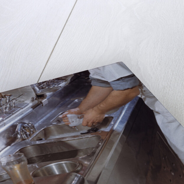Washing Glasses at Diner by Anonymous