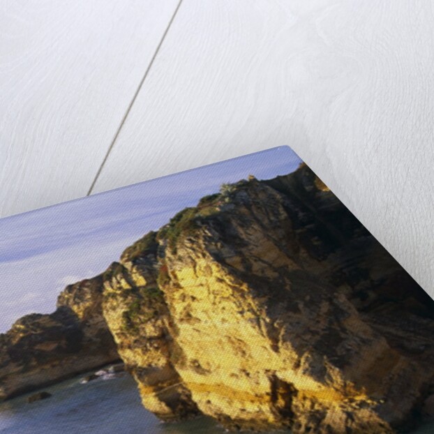 Sanstone Cliffs at Praia de Dona Ana Beach in Portugal by Anonymous