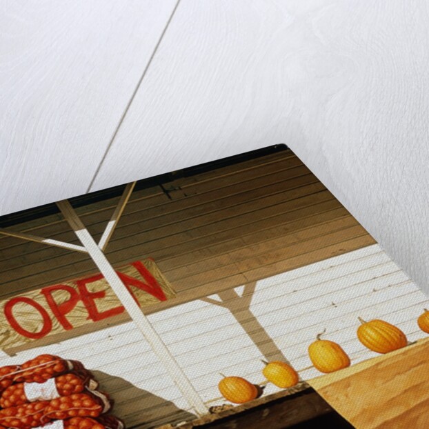 Open by Reynard Milici