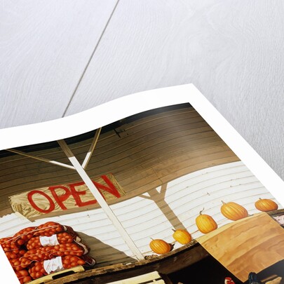 Open by Reynard Milici