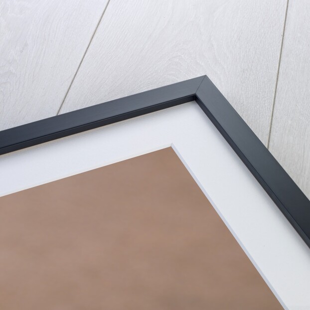 Old Tennis Racket on Suitcase by Anonymous