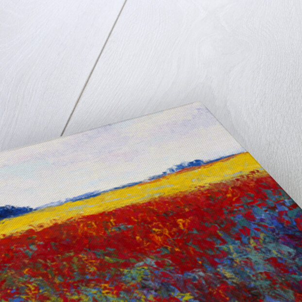 Tulip Field by Gail Wells-Hess