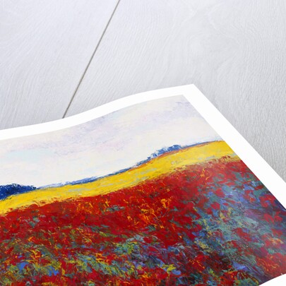 Tulip Field by Gail Wells-Hess