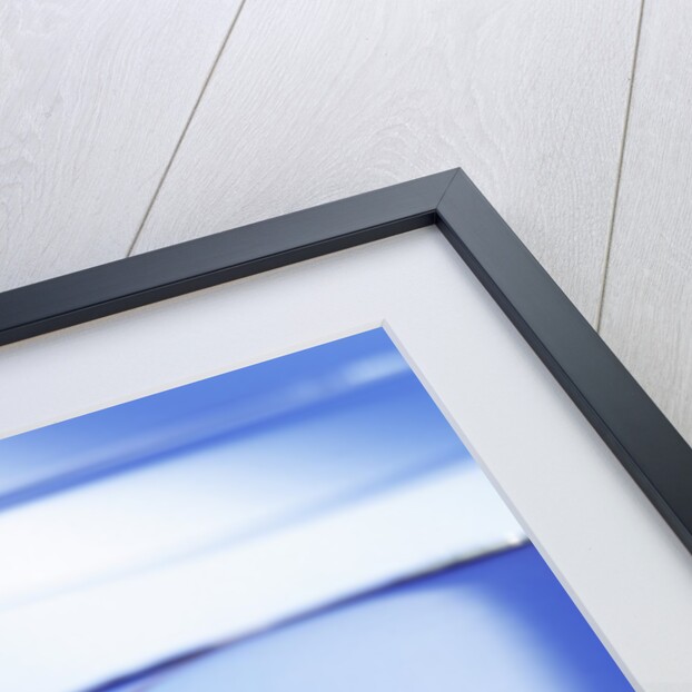 Green Olive in Martini Drink by Anonymous