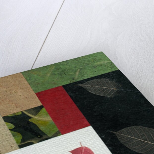 Essential Nature Block 2T by Phillip Jaeger