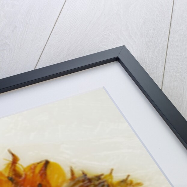 Alstroemeria II by David Roseburg