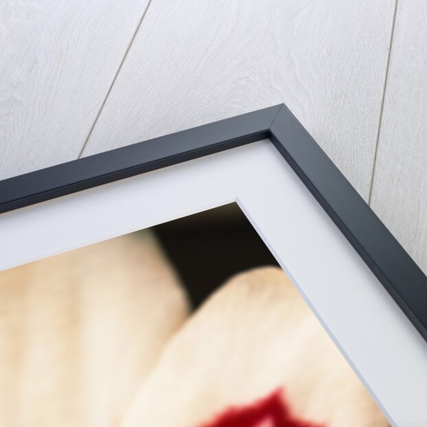 Gladiolus by Anonymous