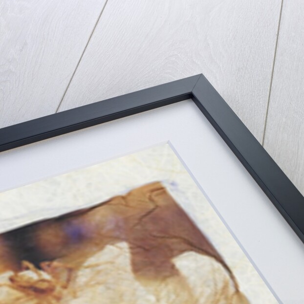 Spider on Daisy by David Roseburg