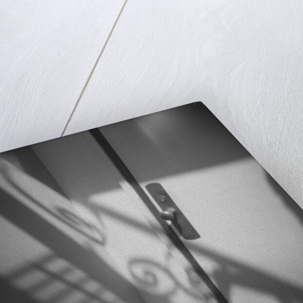 Door and Shadow by David Roseburg