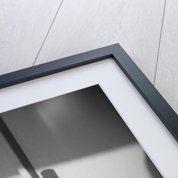 Door and Shadow by David Roseburg