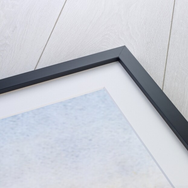 Springtide of Life by Arthur Rackham