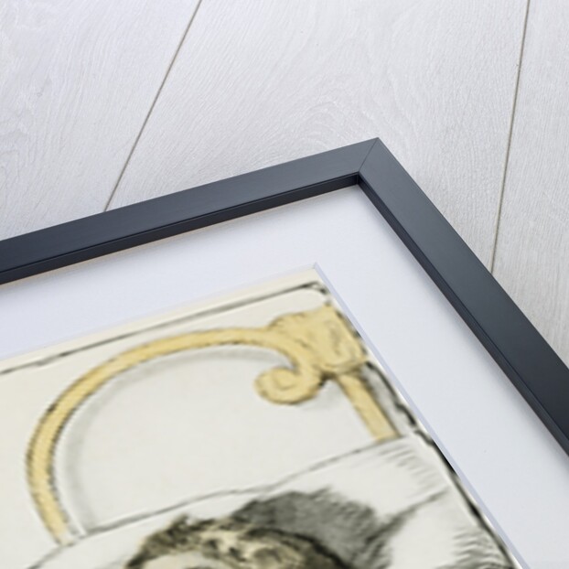 Sunshine Annie by Fanny Cory