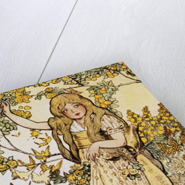 Jackieboy in Rainbowland by Fanny Cory