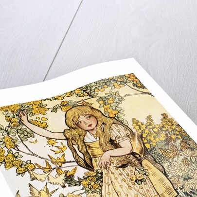 Jackieboy in Rainbowland by Fanny Cory