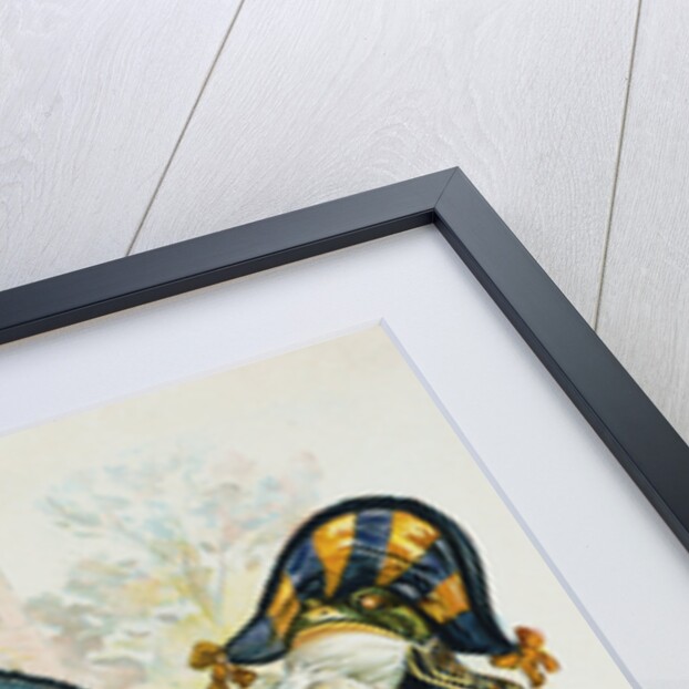 A Frog He Would A Wooing Go Illustration by Anonymous