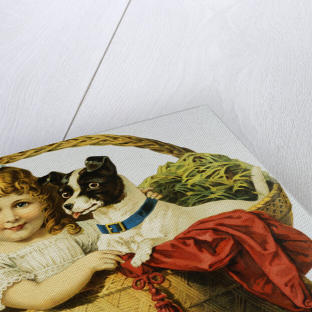 Illustration Depicting a Girl and A Dog in a Basket by Anonymous
