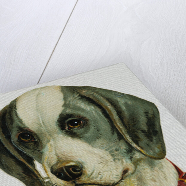 Illustration Depicting a Brown and White Dog by Anonymous