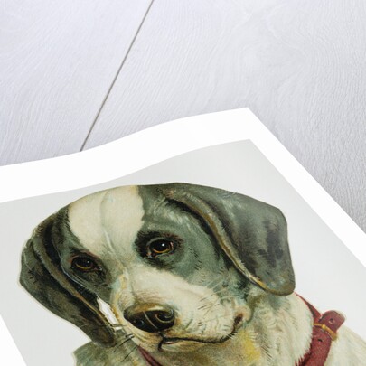 Illustration Depicting a Brown and White Dog by Anonymous