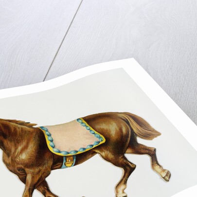 Illustration Depicting a Brown Pony by Anonymous