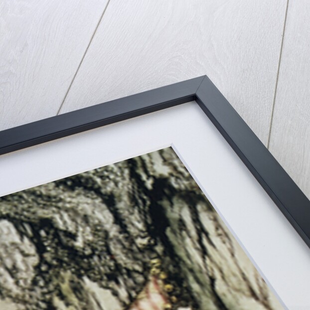 Illustration Depicting Fortunado and Montresor by Arthur Rackham