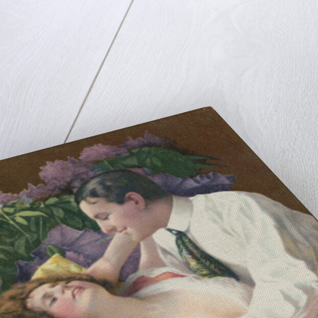 Flitterwochen Postcard by Anonymous