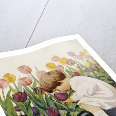 Illustration of a Child Smelling Tulips by Jessie Willcox Smith