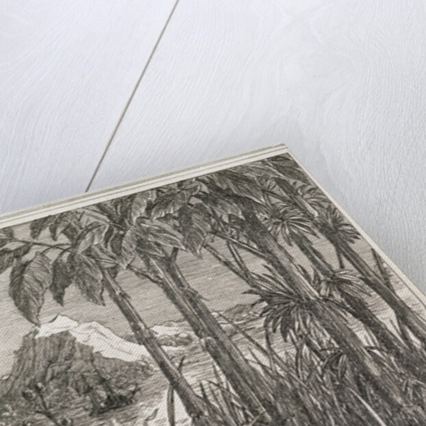 Hook or Me This Time Book Illustration by Francis Donkin Bedford