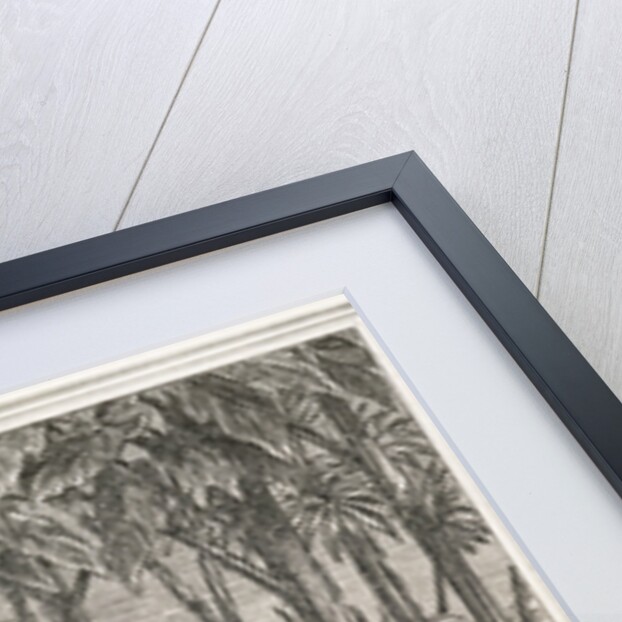 Hook or Me This Time Book Illustration by Francis Donkin Bedford