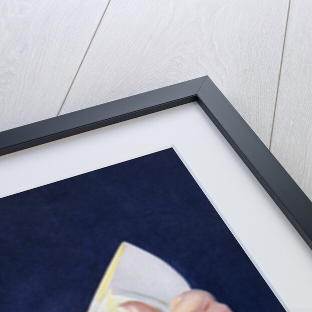 Book Illustration of Tinkerbell Saving Peter Pan by Roy Best