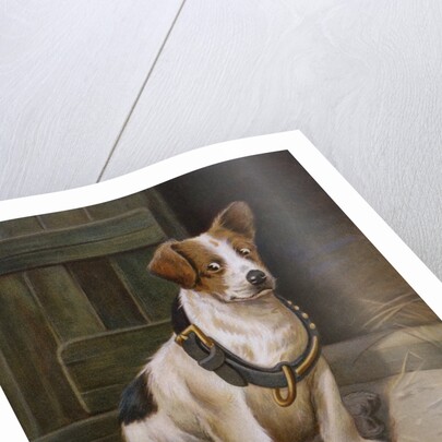 A Misfit Book Illustration of Jack Russell Terrier by Anonymous