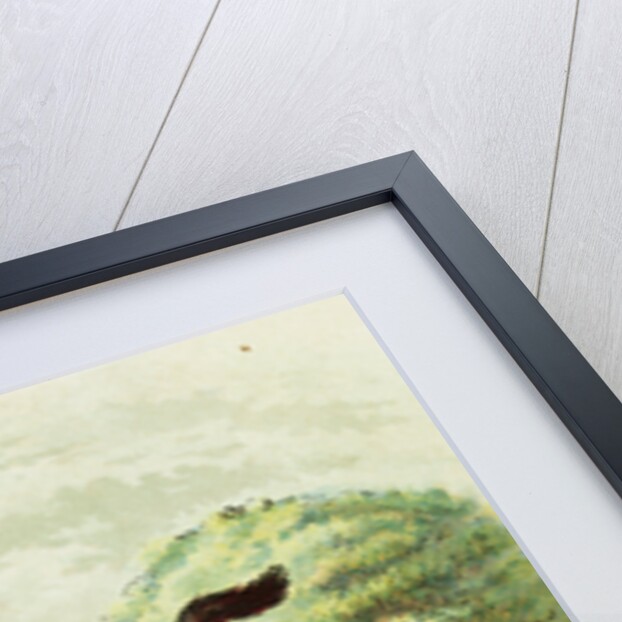 The Wolf Tries to Find a Way Into the Brick House by Blanche Fisher Wright