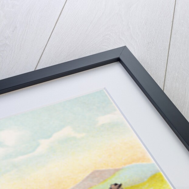 Admiring the Beauty. Postcard by Anonymous