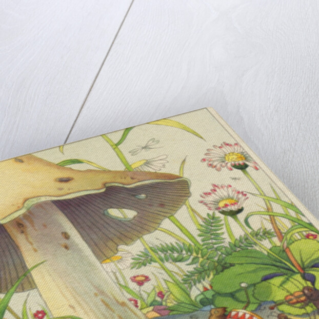 Herzlichen Gluckwunsch zum Geburtstage Postcard by Anonymous