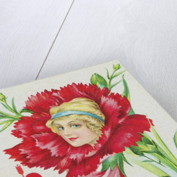 Would You be Willing to See a Miss if You Saw Her Face in a Flower Like This? Postcard by Anonymous