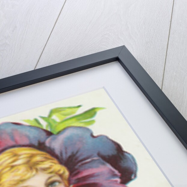 To be a Purple Pansy May Not Suit Your Girlish Fancy Postcard by Anonymous