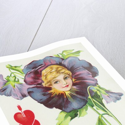 To be a Purple Pansy May Not Suit Your Girlish Fancy Postcard by Anonymous