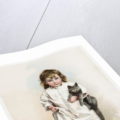 Mellin's Food for Infants and Invalids Trade Card by Anonymous
