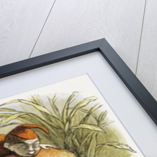 The Elf-King Asleep Illustration by Richard Doyle