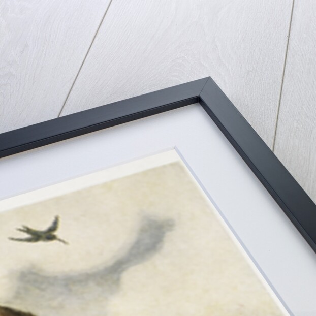 Illustration of a Girl and a Spider Web by Jessie Willcox Smith