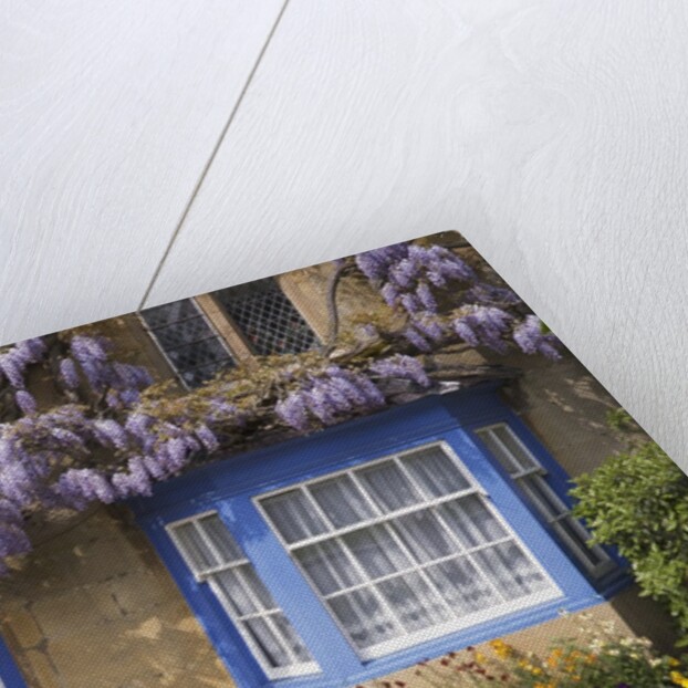 Wisteria-Covered Cottage by Anonymous