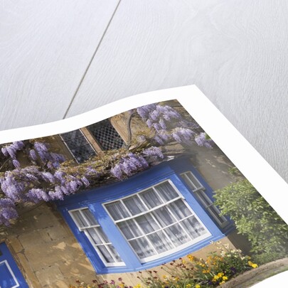 Wisteria-Covered Cottage by Anonymous