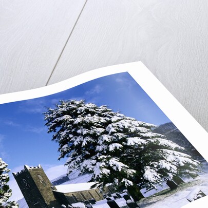 Snow Covered Church and Cemetery by Anonymous