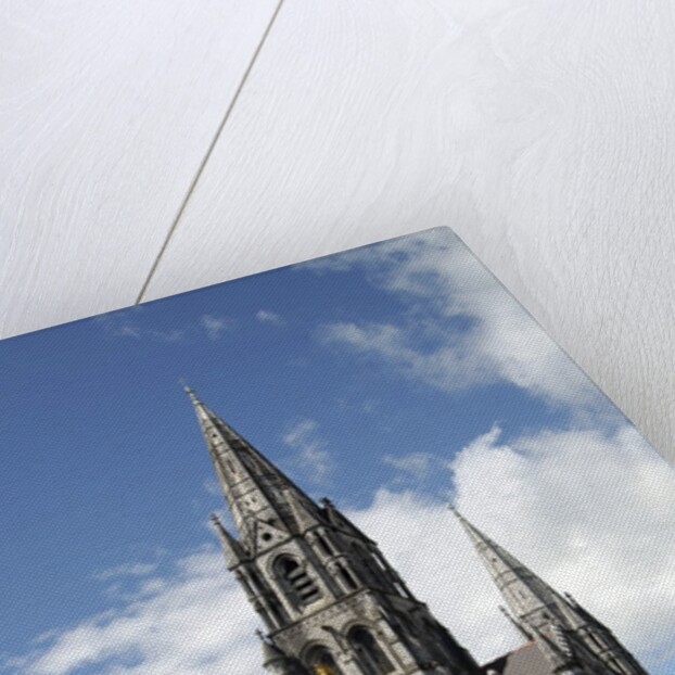 Saint Finbarr's Cathedral by Anonymous