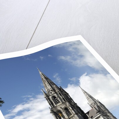 Saint Finbarr's Cathedral by Anonymous