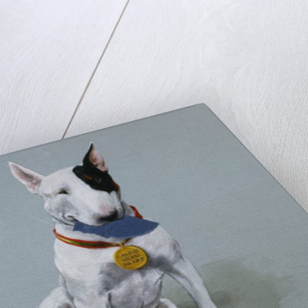 Darby Wearing a Medal from Darby, the Special-Order Pup by Alexandra Day