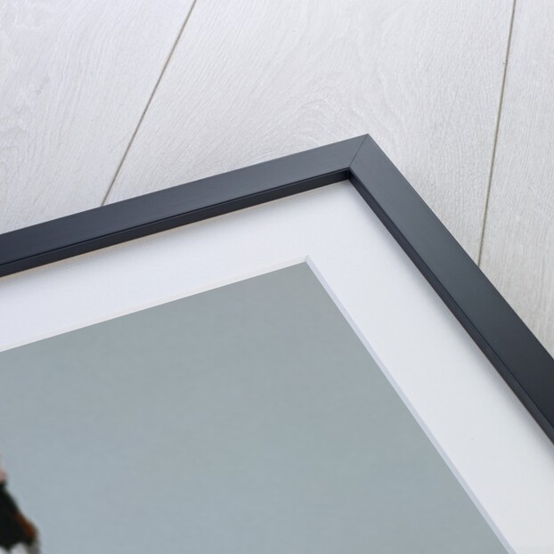 Darby Wearing a Medal from Darby, the Special-Order Pup by Alexandra Day