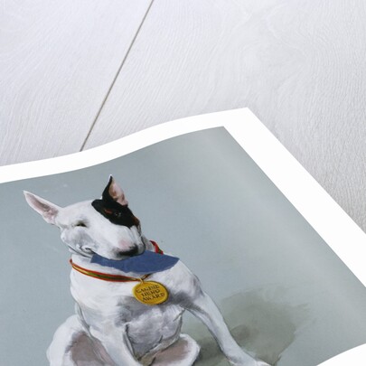 Darby Wearing a Medal from Darby, the Special-Order Pup by Alexandra Day