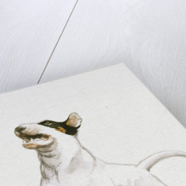 Darby Catching a Ball from Darby, the Special-Order Pup by Alexandra Day